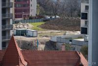 Imagine atasata: 26_0314_8585_Phl_4F.jpg